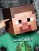 Minecraft Steve Head (1)