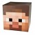 Minecraft Steve Head (4)
