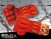 Attack On Titan Colossal Titan 18 inches Plush Glove (1)