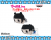 Banpresto Dempagumi Inc Risa Chan and Pinky Cuddle Plush (Set of 2) 23cm (3)