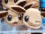 Pokemon Life with Eevee 35cm Huge Eevee Face Cushion set/2 (4)