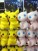 Pokemon Mewtwo Strikes Back Evolution Soft Stuffed Plush 23cm - Pikachu and Mew (set/2) (4)
