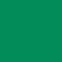 DELETER Neopiko-2 Dual-tipped Alcohol-based Marker - Forest Green (434)