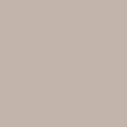 DELETER Neopiko-2 Dual-tipped Alcohol-based Marker - Warm Grey 5 (585)