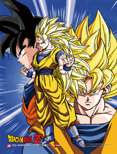 Dragon Ball Z 3D Lenticular Wall Art Poster Framed 9x12