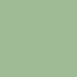 DELETER Neopiko-2 Dual-tipped Alcohol-based Marker - Celadon (414)