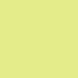 DELETER Neopiko-2 Dual-tipped Alcohol-based Marker - Pale Green (416)
