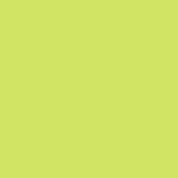 DELETER Neopiko-2 Dual-tipped Alcohol-based Marker - Lettuce Green (417)