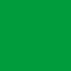 DELETER Neopiko-2 Dual-tipped Alcohol-based Marker - Glass Green (420)