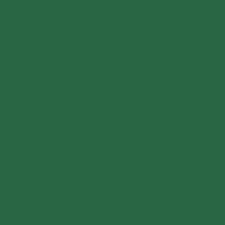 DELETER Neopiko-2 Dual-tipped Alcohol-based Marker - Ever Green (423)