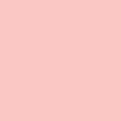 DELETER Neopiko-2 Dual-tipped Alcohol-based Marker - Peach (508)