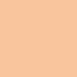 DELETER Neopiko-2 Dual-tipped Alcohol-based Marker - Light Orange (517)