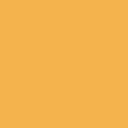 DELETER Neopiko-2 Dual-tipped Alcohol-based Marker - Pumpkin (526)