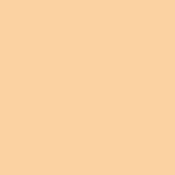 DELETER Neopiko-2 Dual-tipped Alcohol-based Marker - Sun Tan (534)