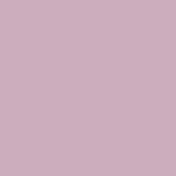 DELETER Neopiko-2 Dual-tipped Alcohol-based Marker - Rose Grey (559)