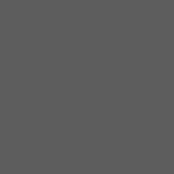 DELETER Neopiko-2 Dual-tipped Alcohol-based Marker - Cool Grey 7 (577)