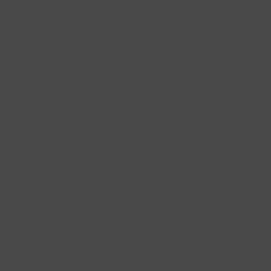 DELETER Neopiko-2 Dual-tipped Alcohol-based Marker - Cool Grey 8 (578)