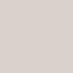 DELETER Neopiko-2 Dual-tipped Alcohol-based Marker - Warm Grey 3 (583)